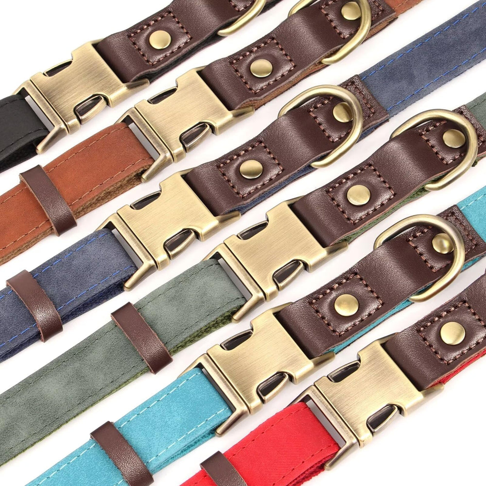 Didog collar práctico para todas las ocasiones diarias