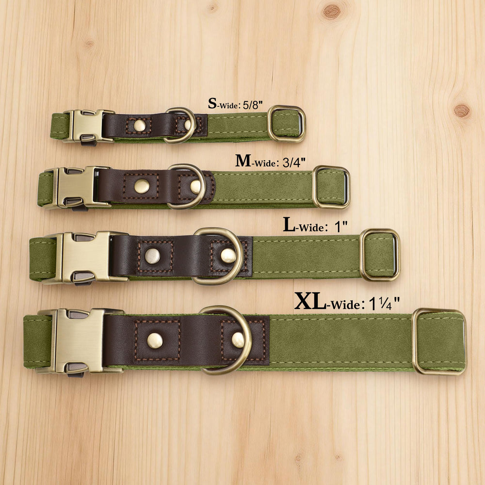Didog collar para paseo diario, estilo clásico y duradero