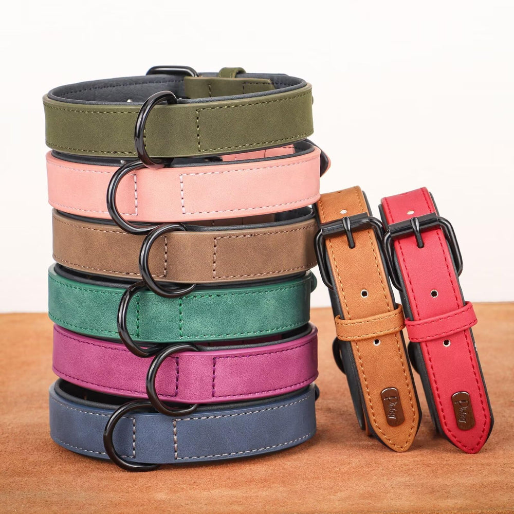 Didog uso diario, collar cómodo para paseos y juego.