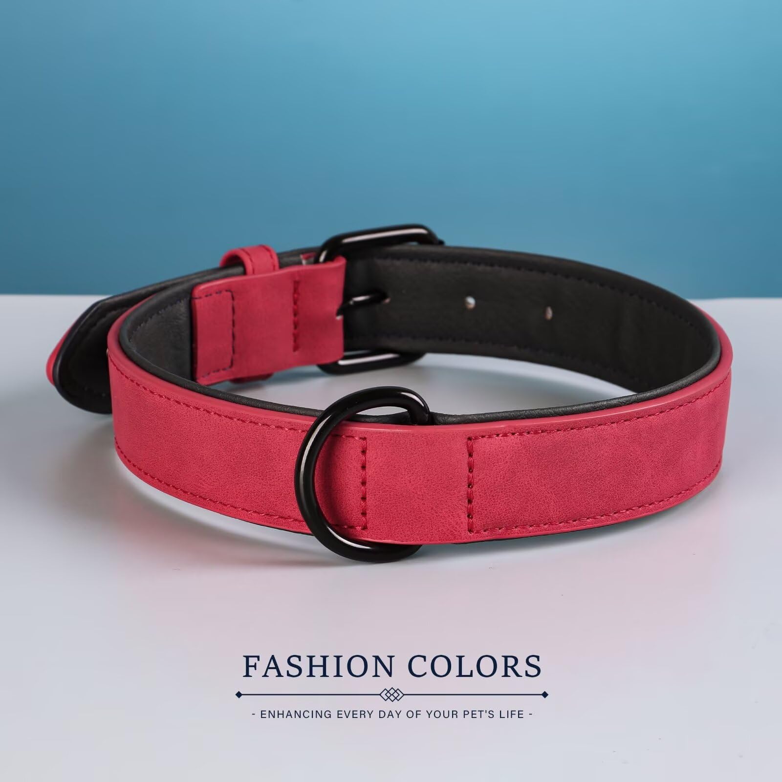 Didog collar rojo elegante en uso para fiesta o paseo.