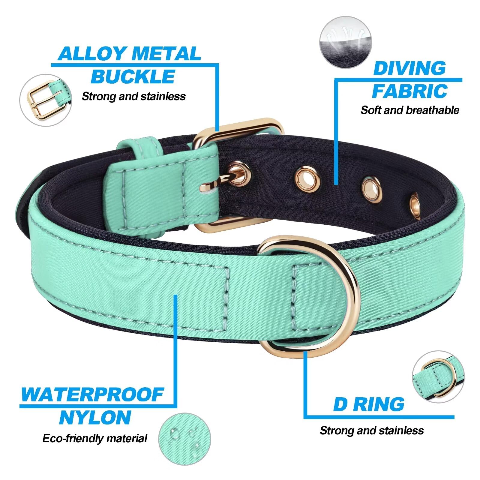 Didog collar talla L: ajuste cómodo para perros medianos.