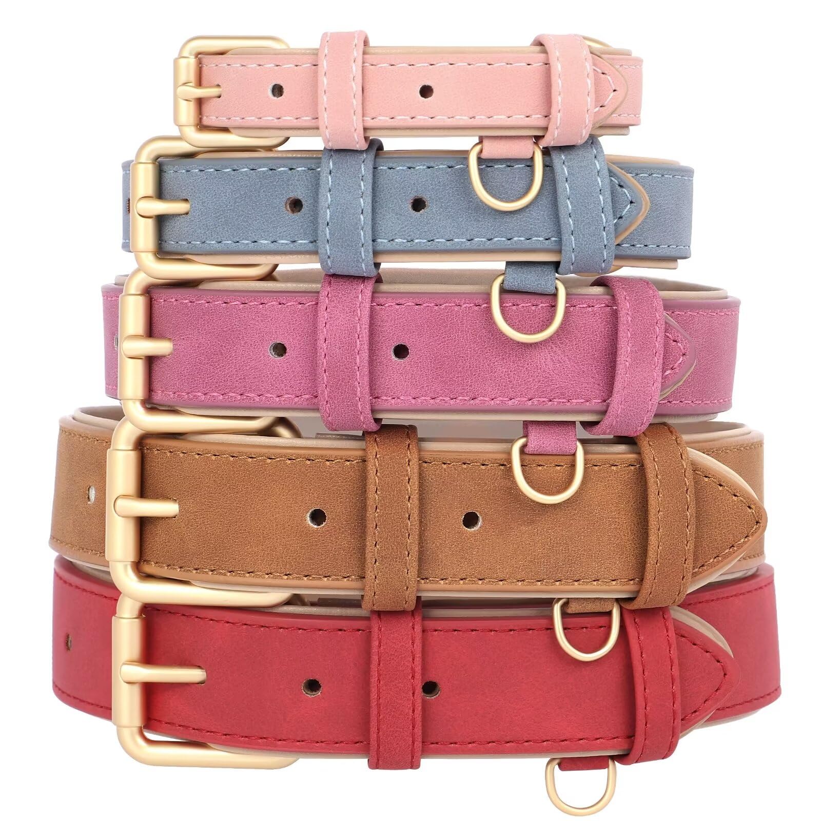 Didog collar tamaño M 11-15 pulgadas, ideal para razas medianas.