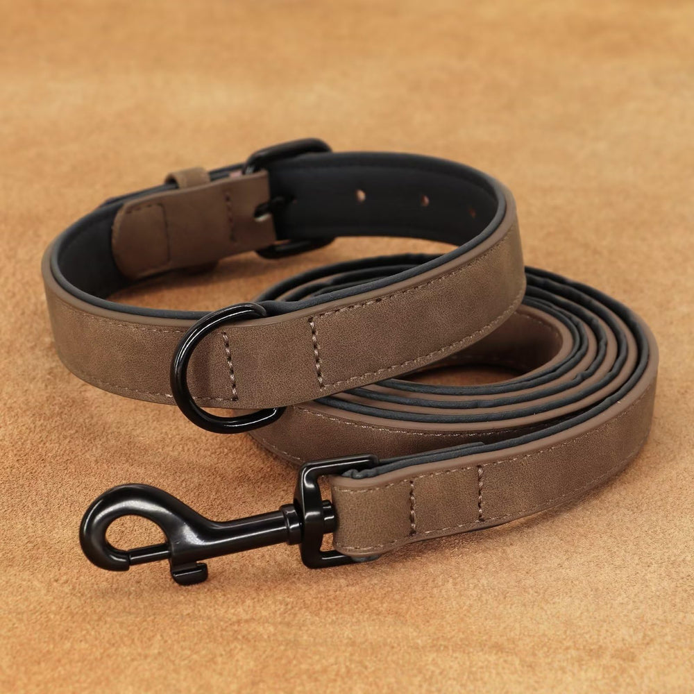 Didog collar para uso diario y paseos al aire libre