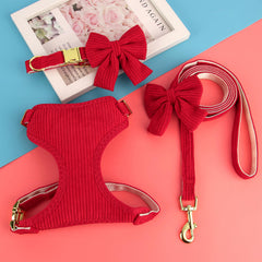 Didog conjunto 3 en 1 con collar y correa para salidas sin complicaciones.