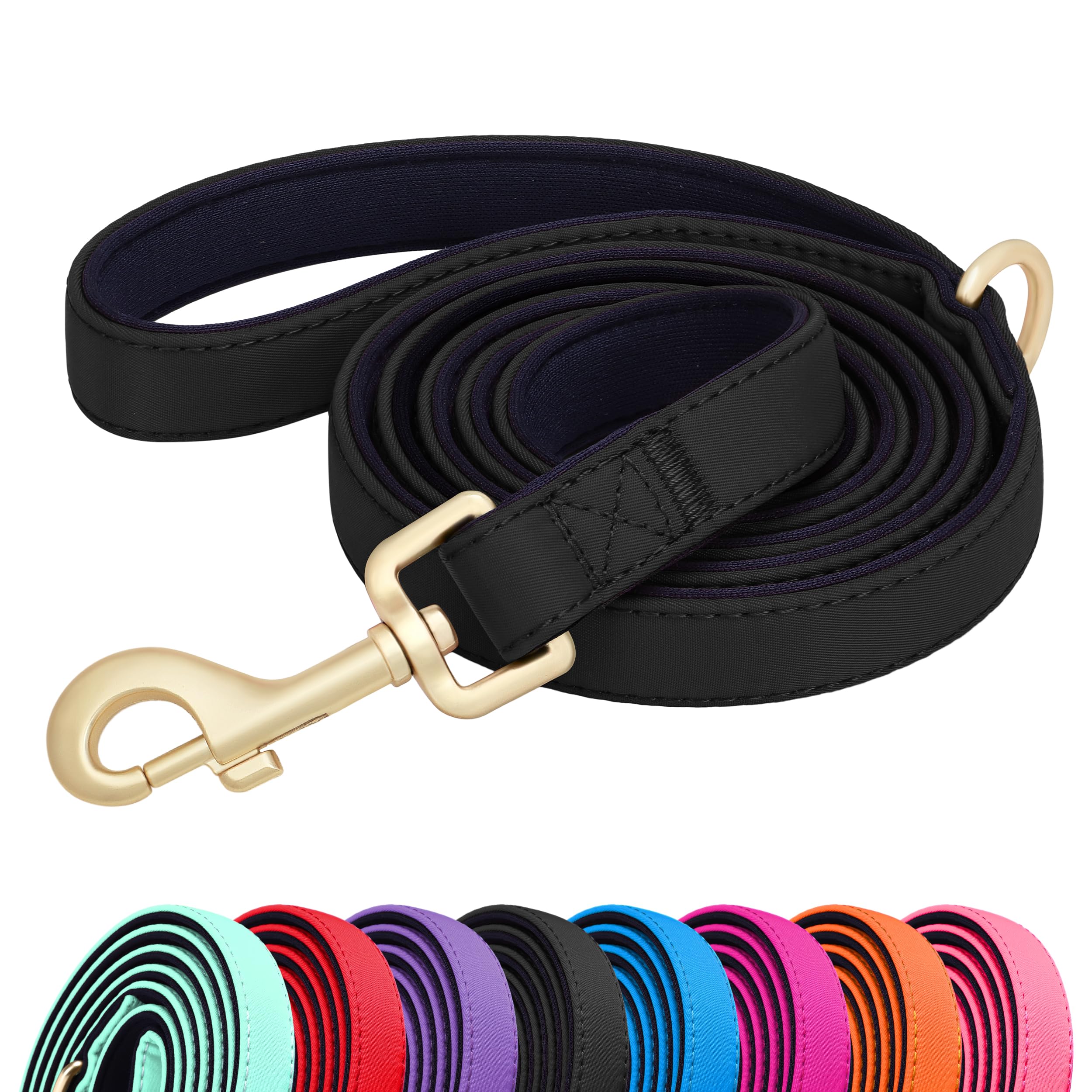 Correa Didog de nylon colorida, 5 ft, acolchado cómodo a lo largo