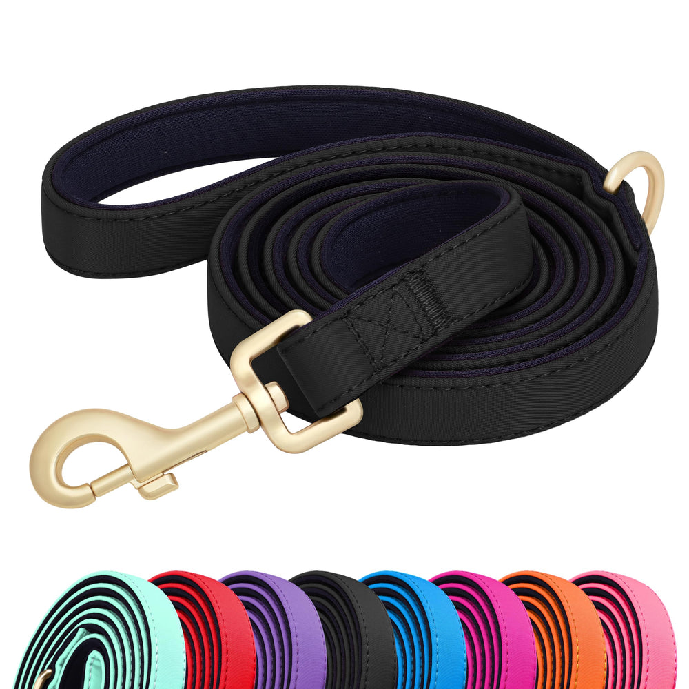 Correa Didog de nylon colorida, 5 ft, acolchado cómodo a lo largo