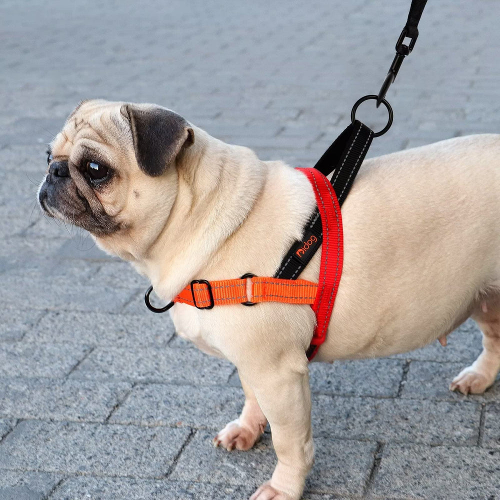 Didog arnés totalmente ajustable en pecho y cuello para ajuste personalizado