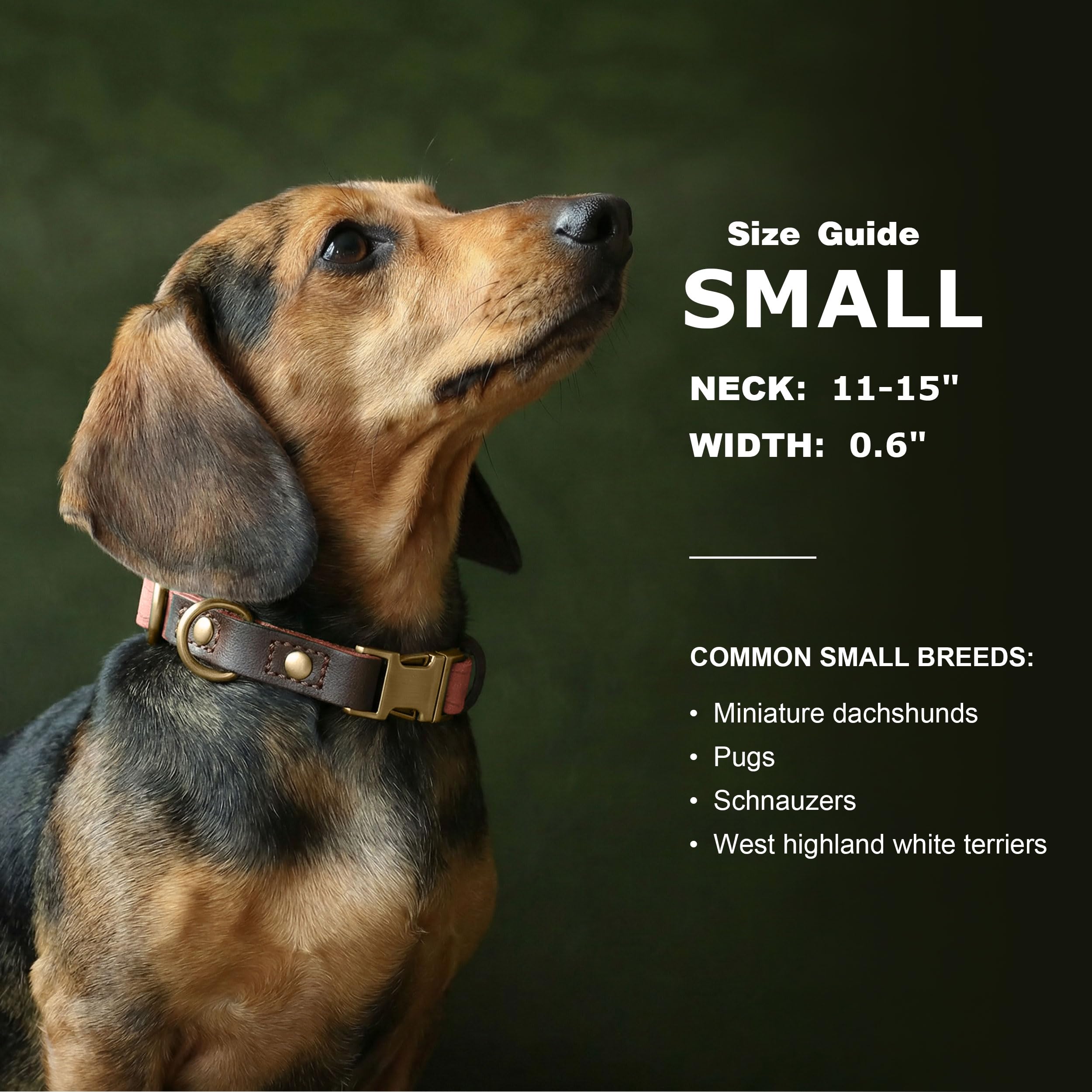 Hebilla metálica rápida de Didog facilita colocar y quitar el collar.