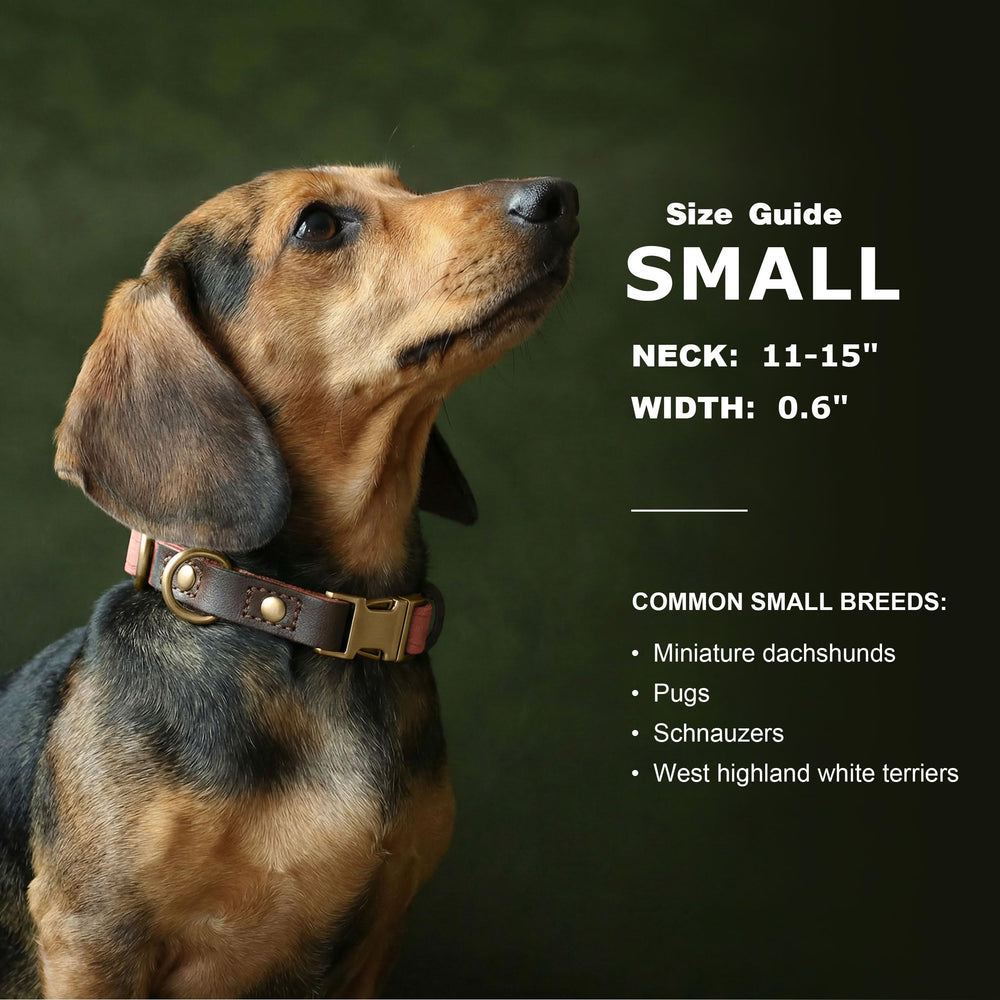 Hebilla metálica rápida de Didog facilita colocar y quitar el collar.