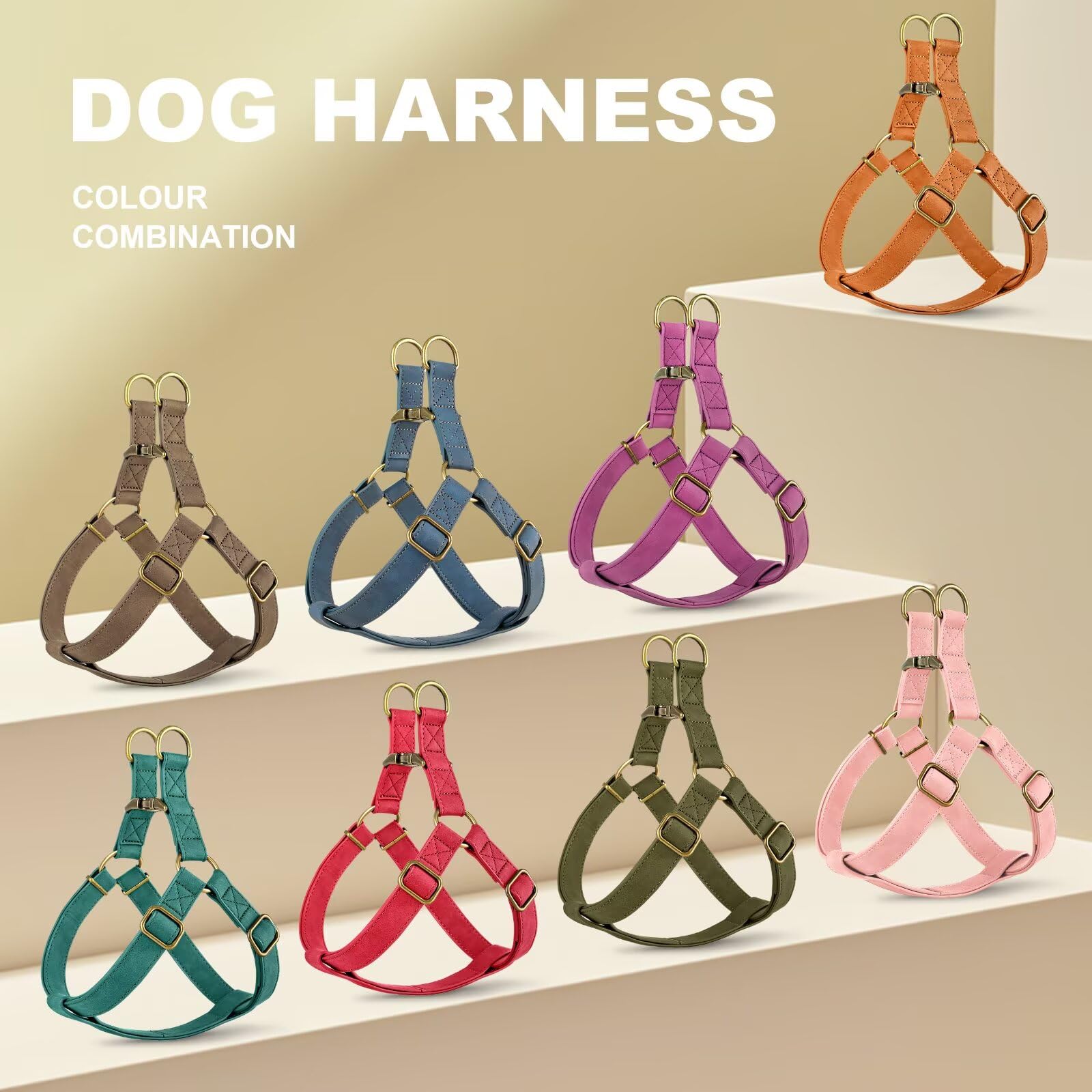Didog juego completo: collar y correa coordinados para un look armonioso.
