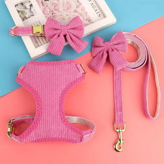 Didog conjunto arnés collar con lazo, 3 en 1 para mascota