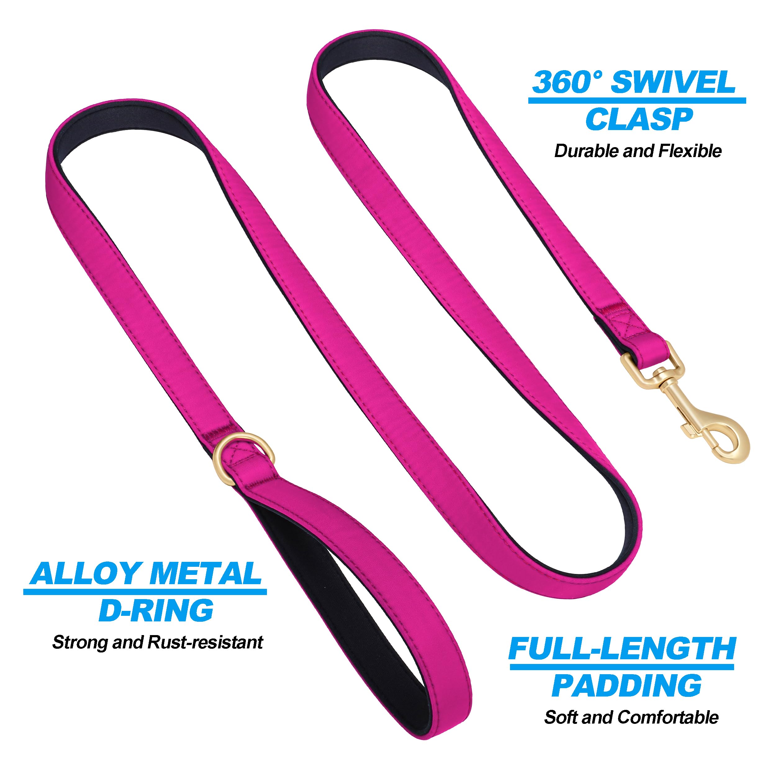 Didog variedad de colores en la correa nylon para combinar con estilo