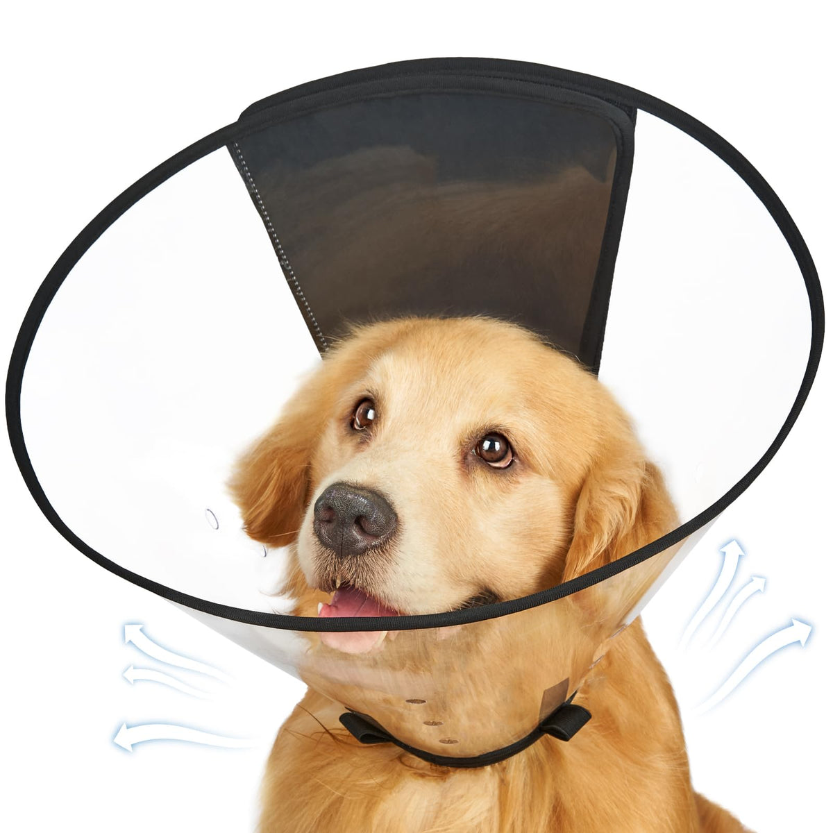 Didopet collar cono transparente para recuperación, facilita comer y beber.