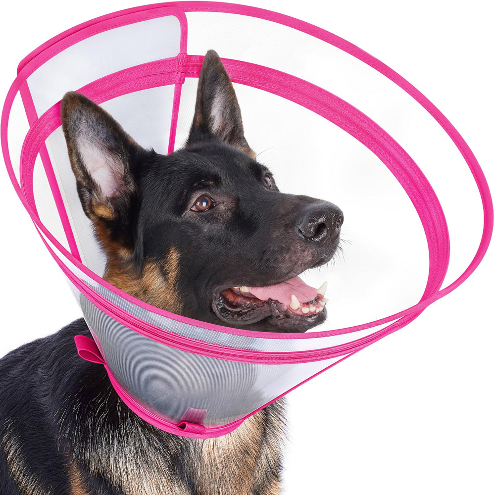 Didopet collar isabelino rosa L, vista frontal, ayuda a evitar lamidos de heridas