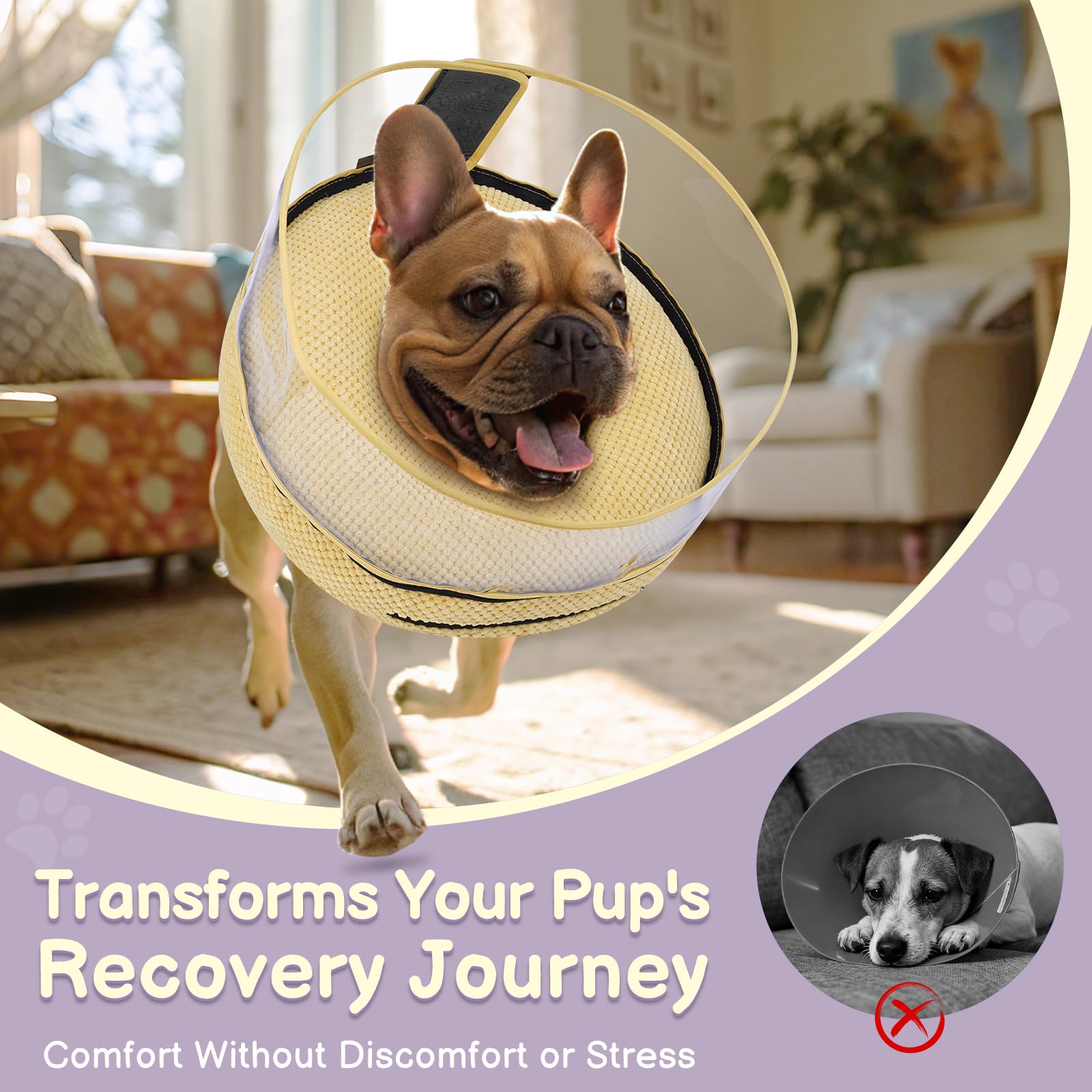Didopet cono inflable para perros: libertad de movimiento durante la recuperación