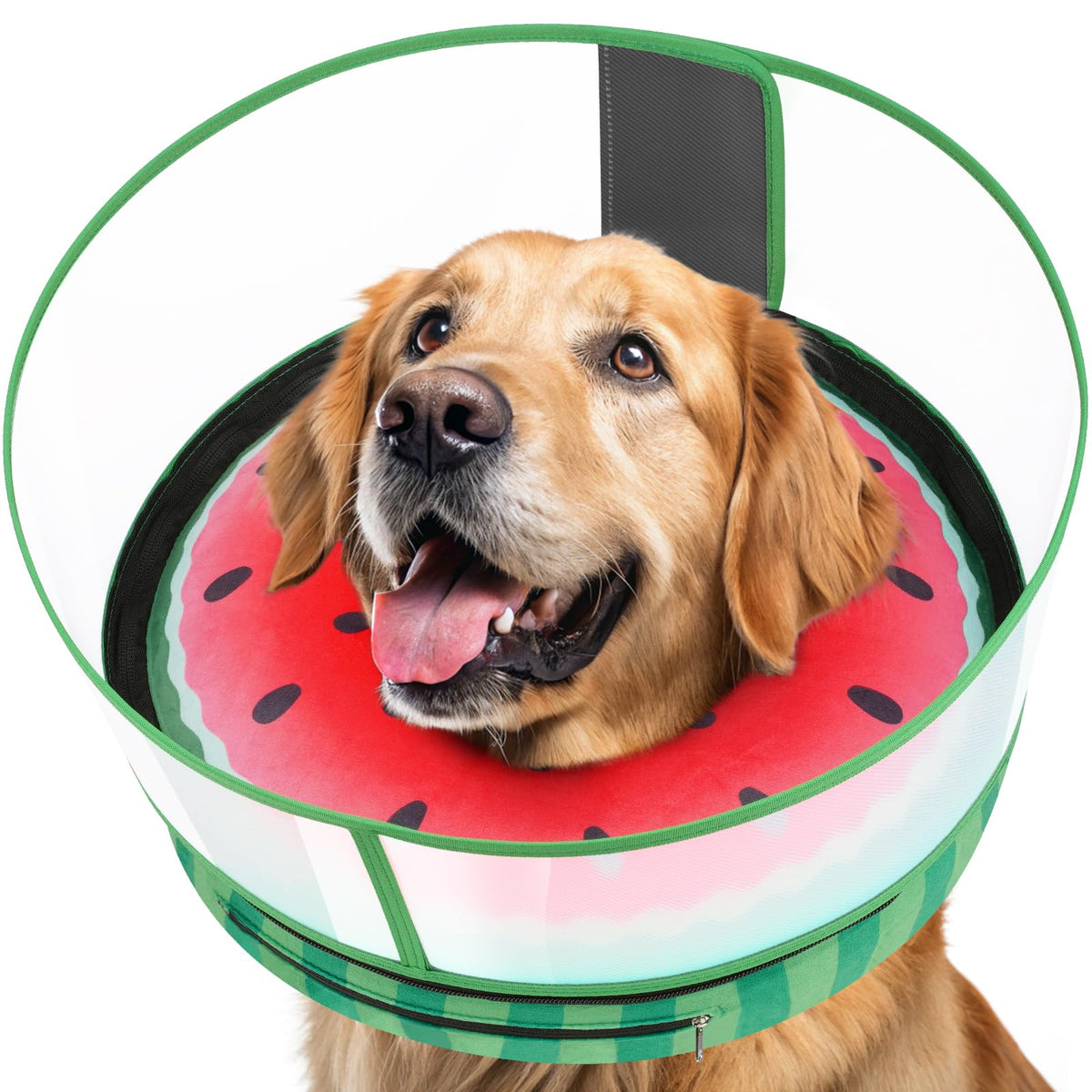 Didopet cono inflable para perro protege la herida sin impedir la respiración