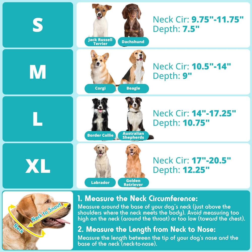 Didopet cono fácil de limpiar y guardar entre usos.