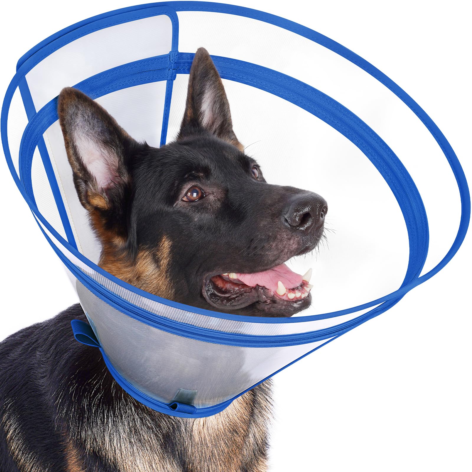 Didopet cono recuperación azul XL, visión 360 y protección de la herida.