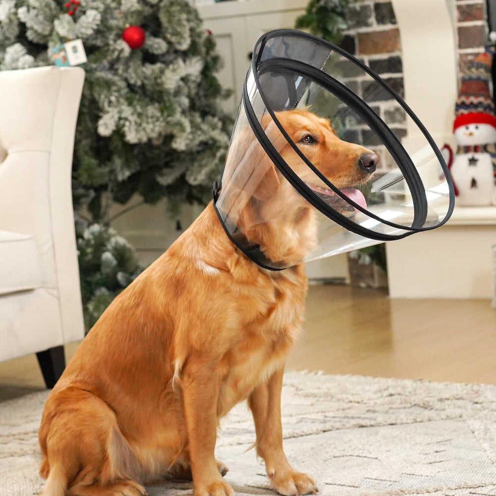 Didopet cono transparente para descanso con visión clara.