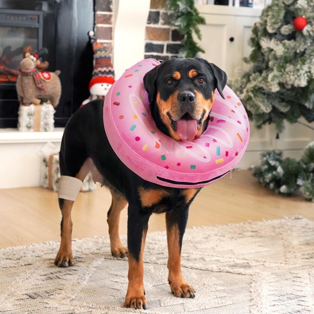 Didopet sujeción segura y ajuste sencillo para tranquilidad del perro