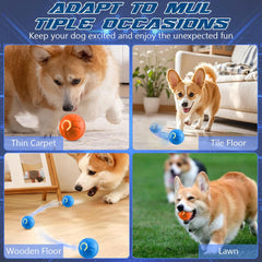 Diehous Pelota resistente a mordidas para perros activos.