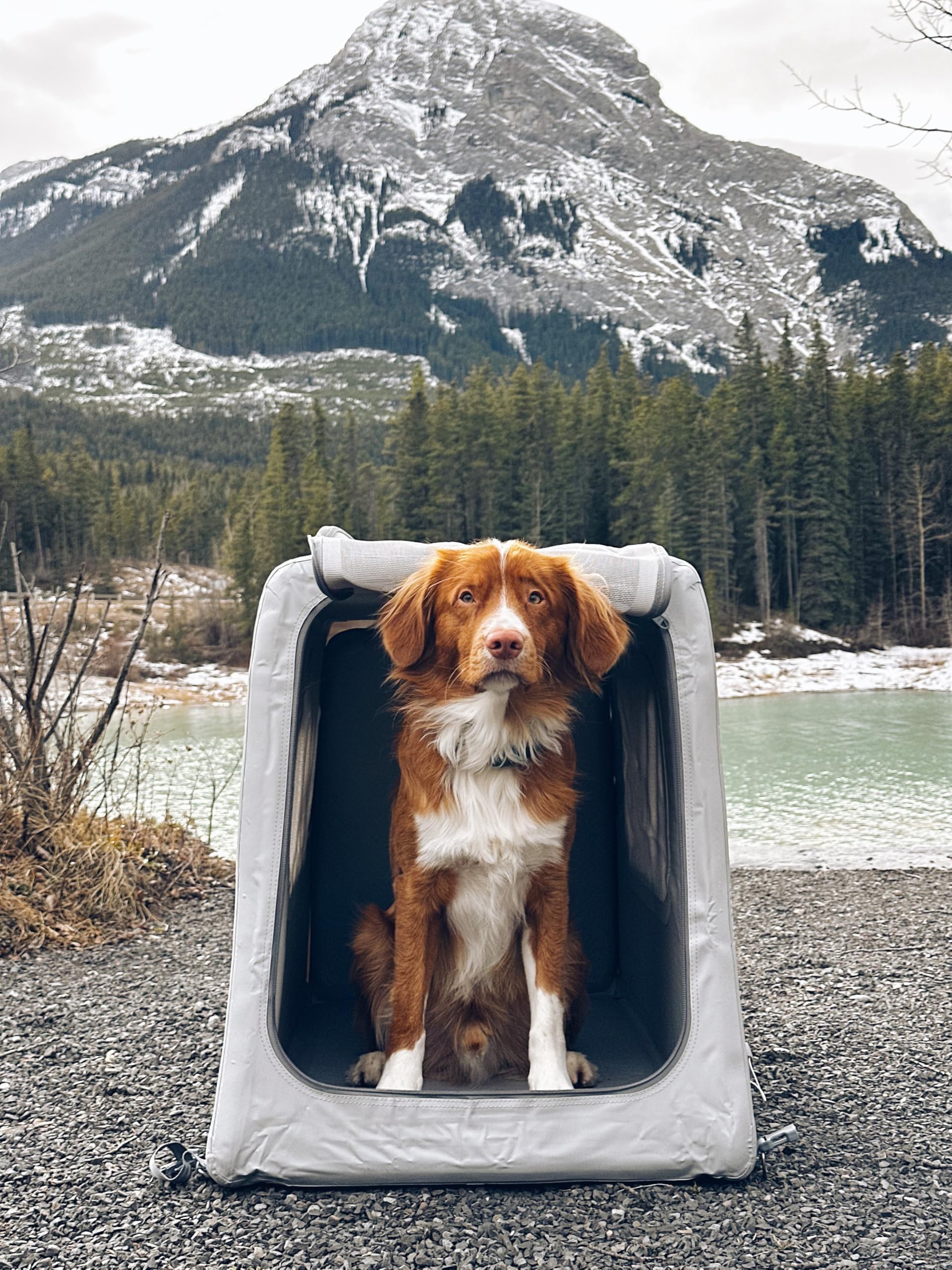 Diggs Enventur: diseño angulado para optimizar el uso del coche.