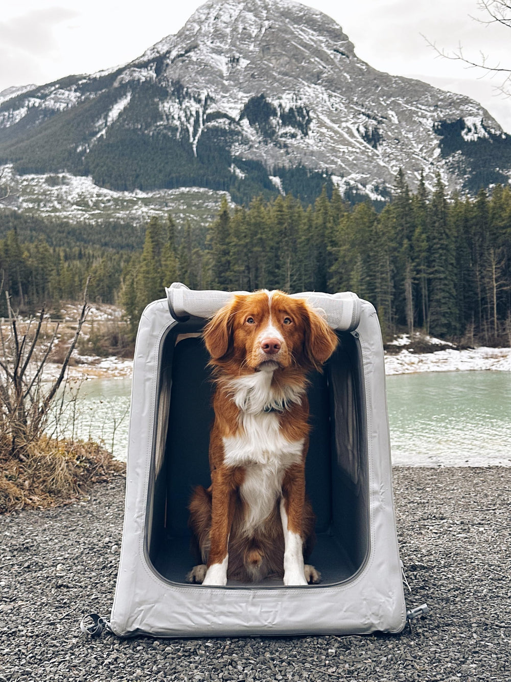 Diggs Enventur: diseño angulado para optimizar el uso del coche.