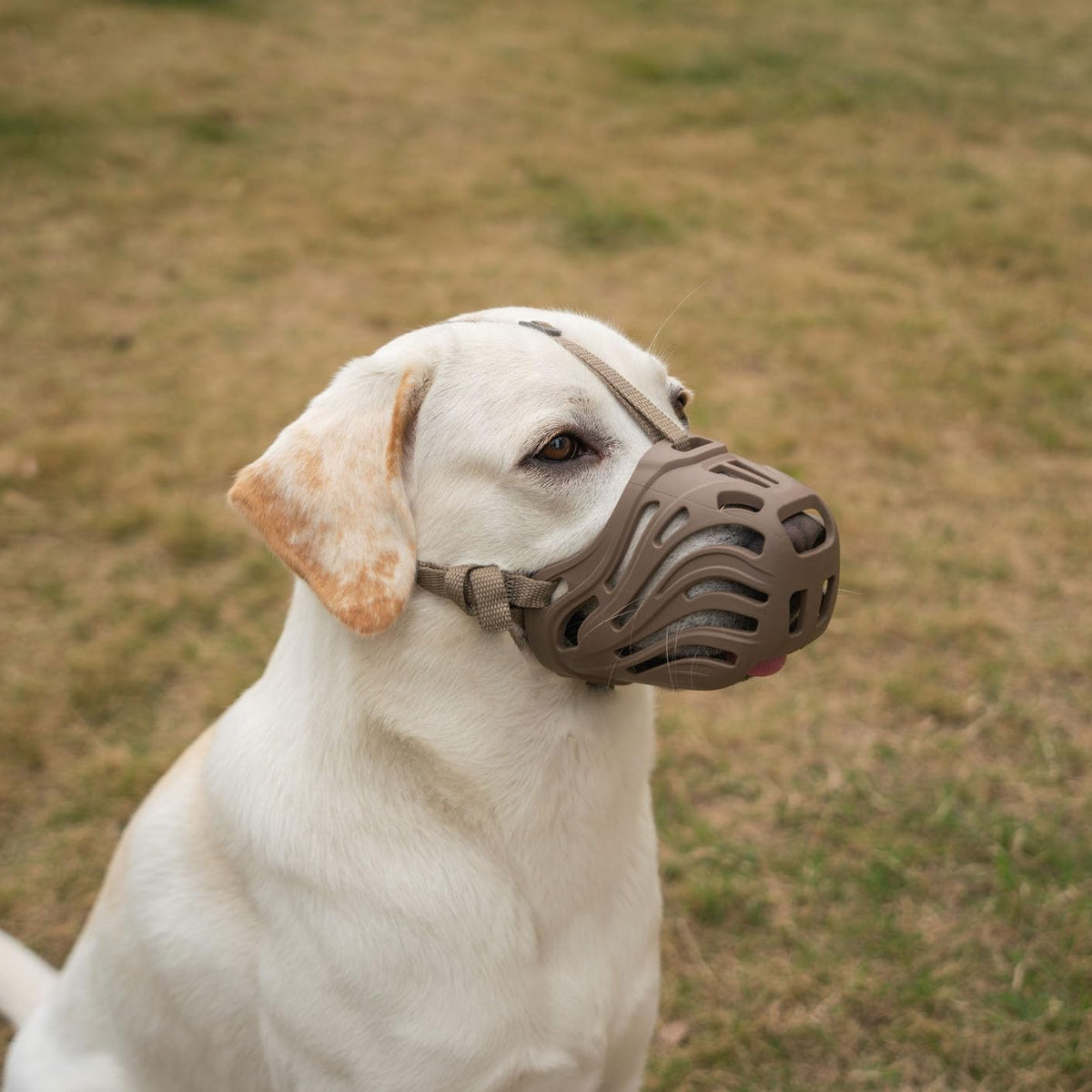 Diketone bozal de silicona para perros grandes, ajuste seguro para XXL.
