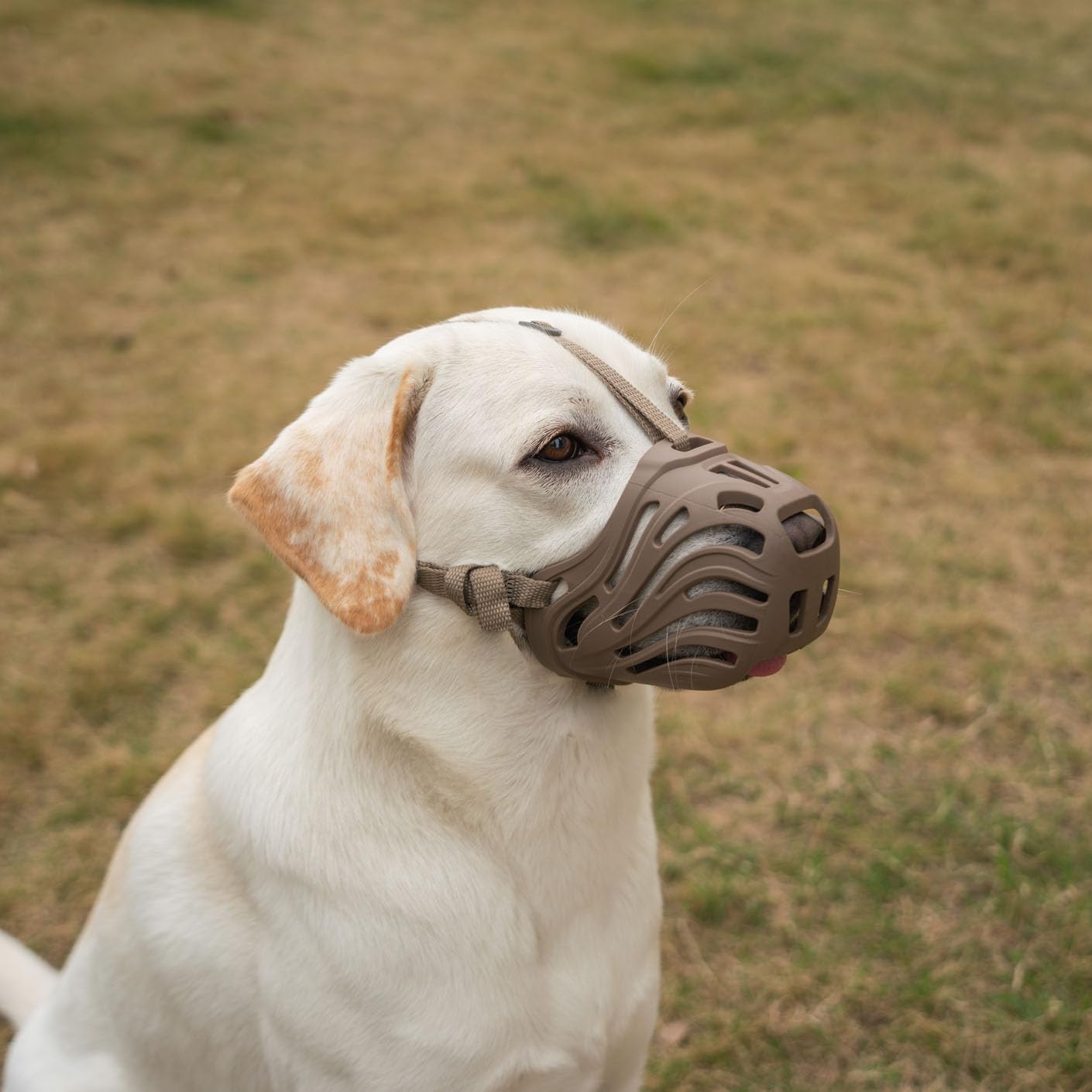 Bozal de silicona Diketone para perros grandes, cómodo y transpirable.