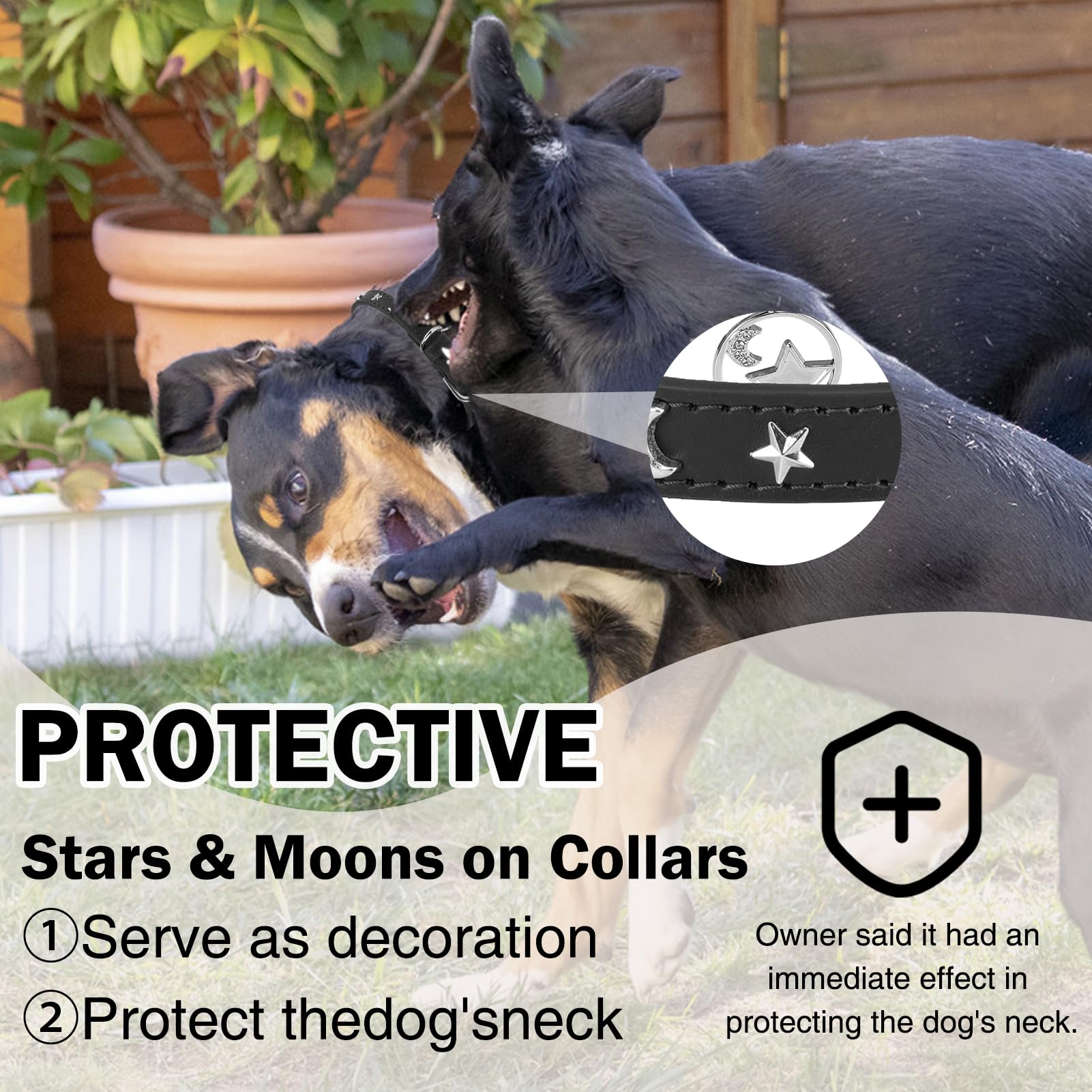 Collar DILLYBUD con hebilla de seguridad ajustable, ideal para crecimiento del cuello.