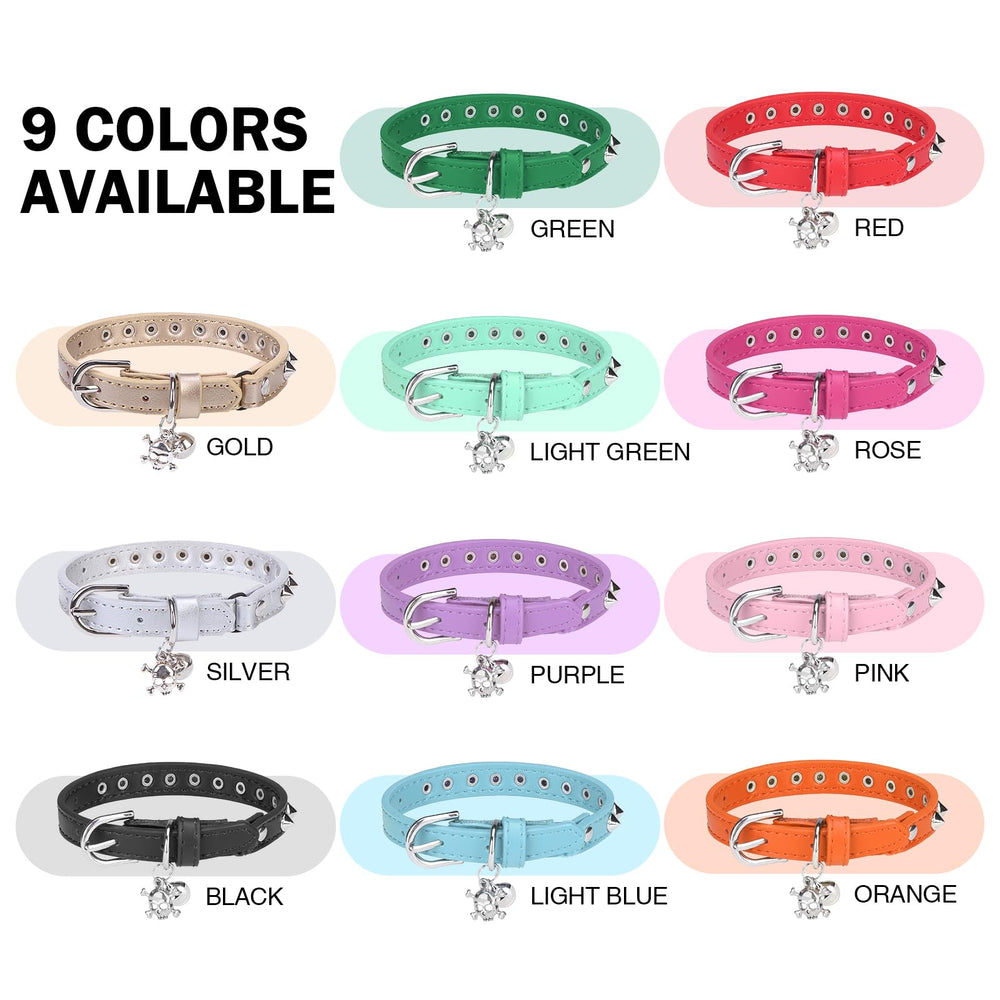 Collar de cuero DILLYBUD puesto en mascota, ideal para fotos y fiestas.