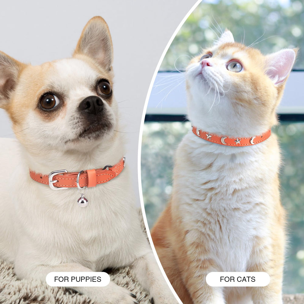 DILLYBUD collar para uso diario dentro y fuera de casa.