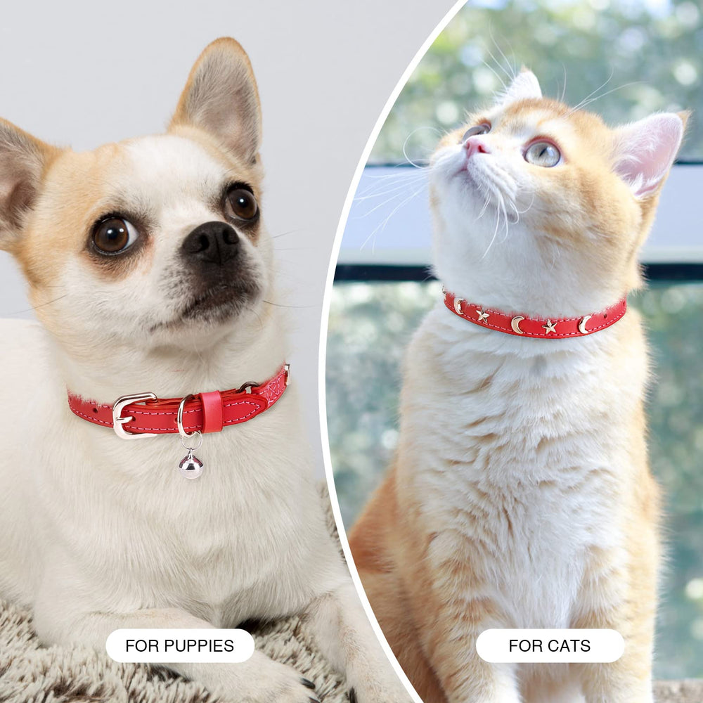 Collar DILLYBUD apto para uso interior y exterior.