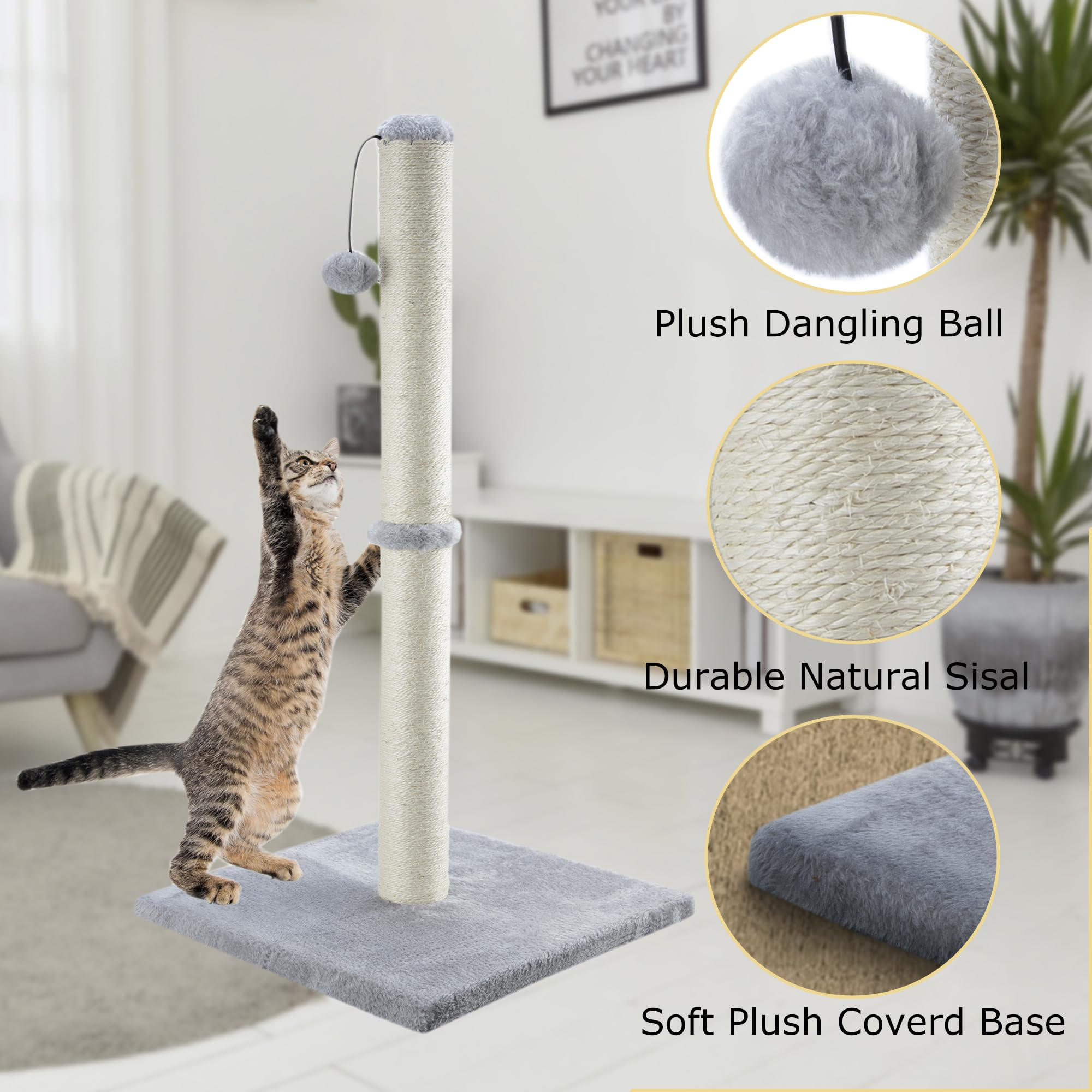 Dimaka bola interactiva de peluche, invita al juego y al ejercicio.