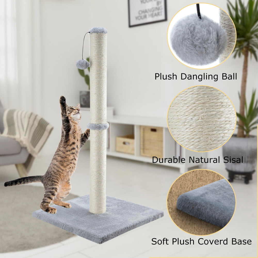 Dimaka bola interactiva de peluche, invita al juego y al ejercicio.