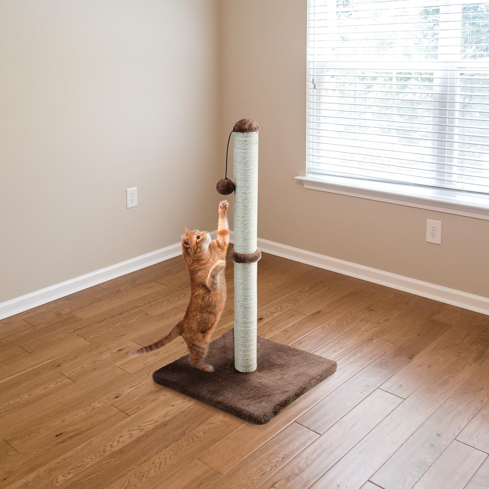 Dimaka dimensiones-74-cm-altura, apto para gatos de tamaño estándar.