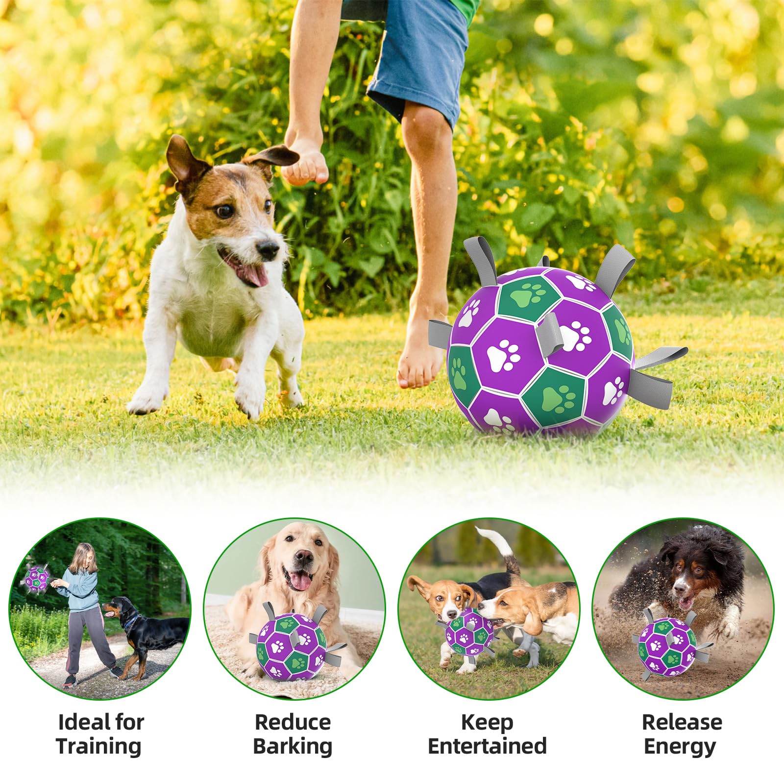 Diman bola para perros en playa o arena, rendimiento duradero bajo sol.