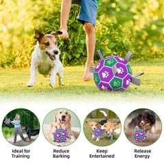 Diman bola para perros en playa o arena, rendimiento duradero bajo sol.