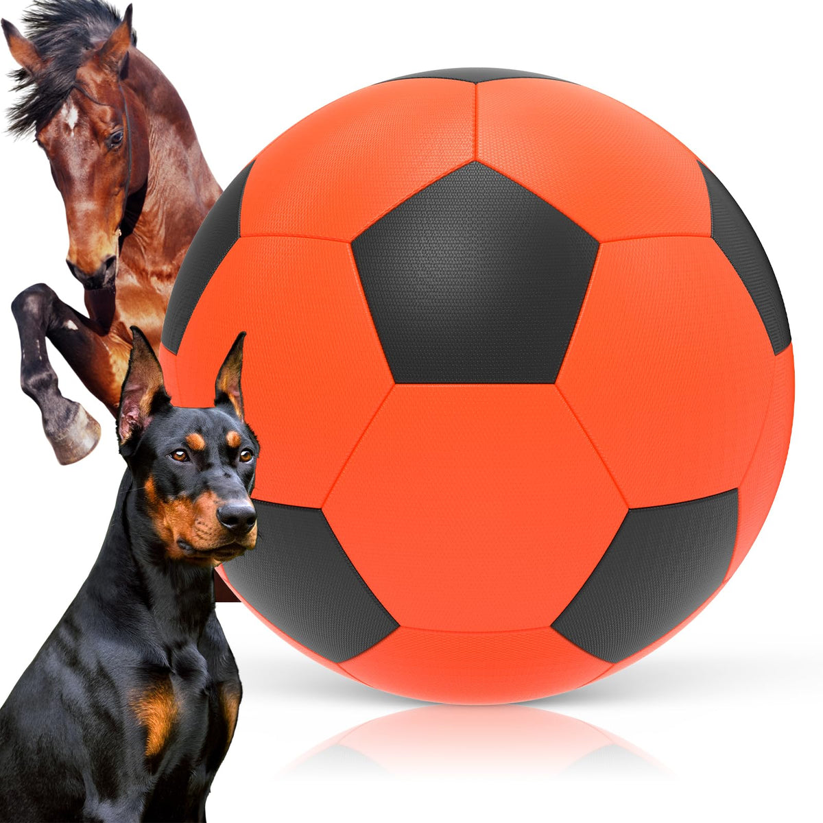 Diman bola de pastoreo para perros en exterior, perfecta para entrenamiento y juego activo.