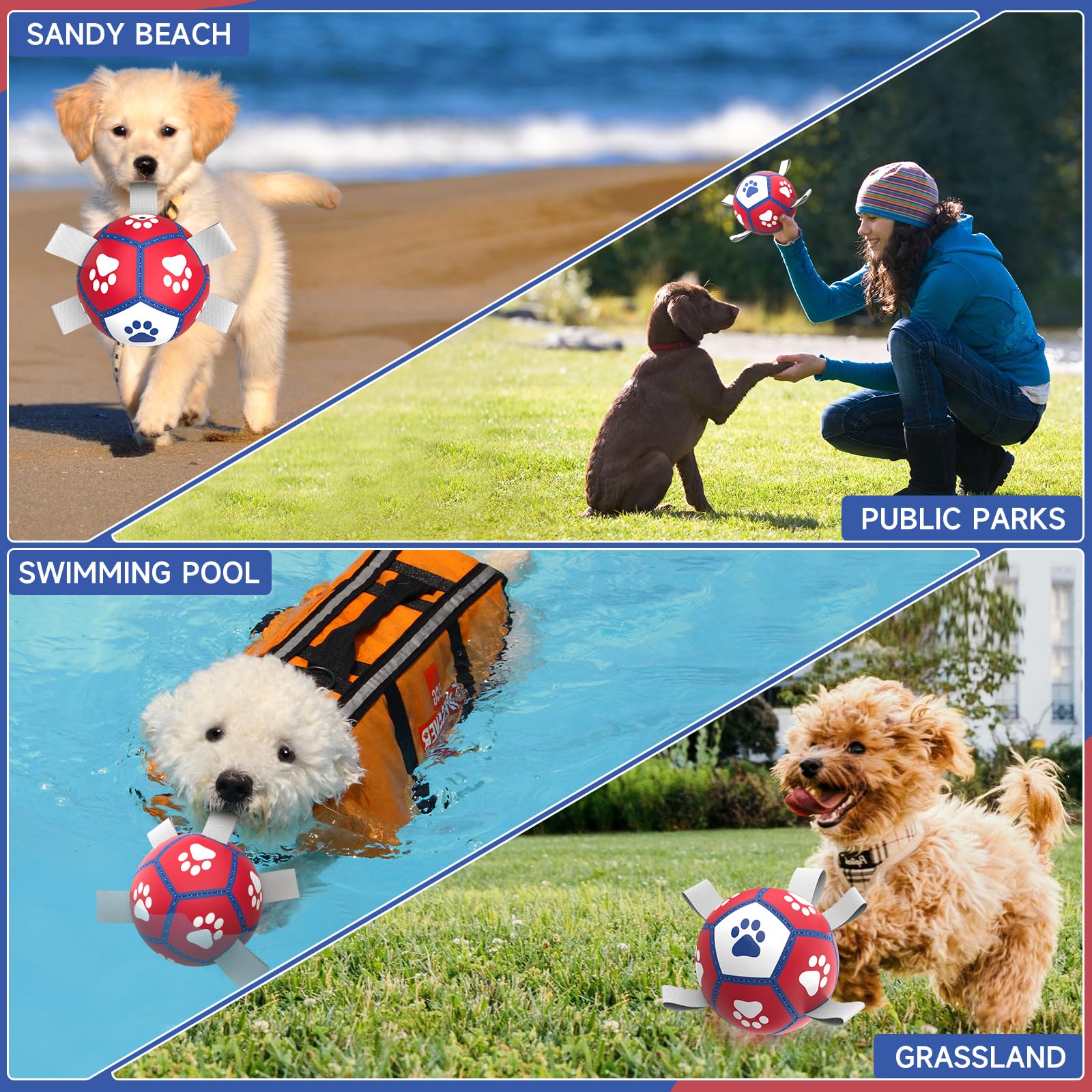 Diman juguete de agua para perro, ideal para nadar en la piscina.