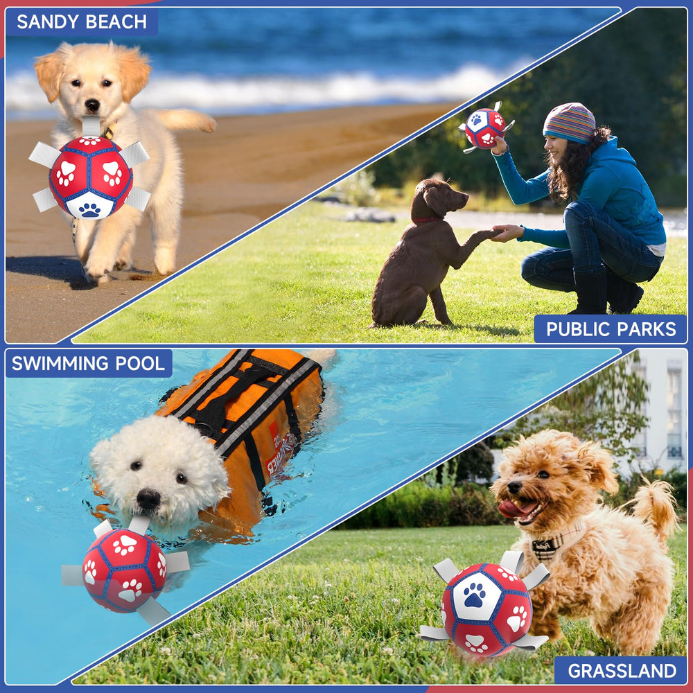 Diman juguete de agua para perro, ideal para nadar en la piscina.