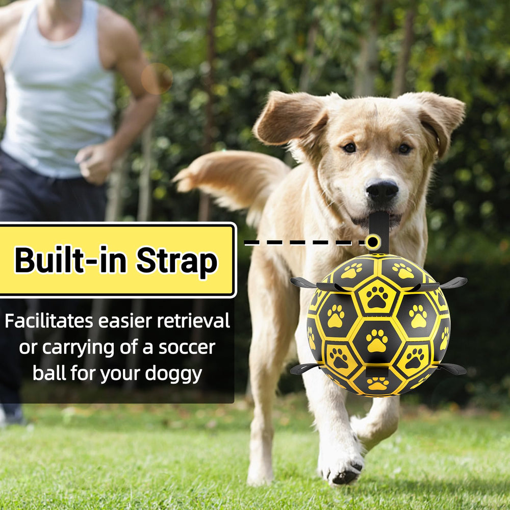 Diman juguete para perro al aire libre, perfecto para juegos en exteriores y entrenamiento.