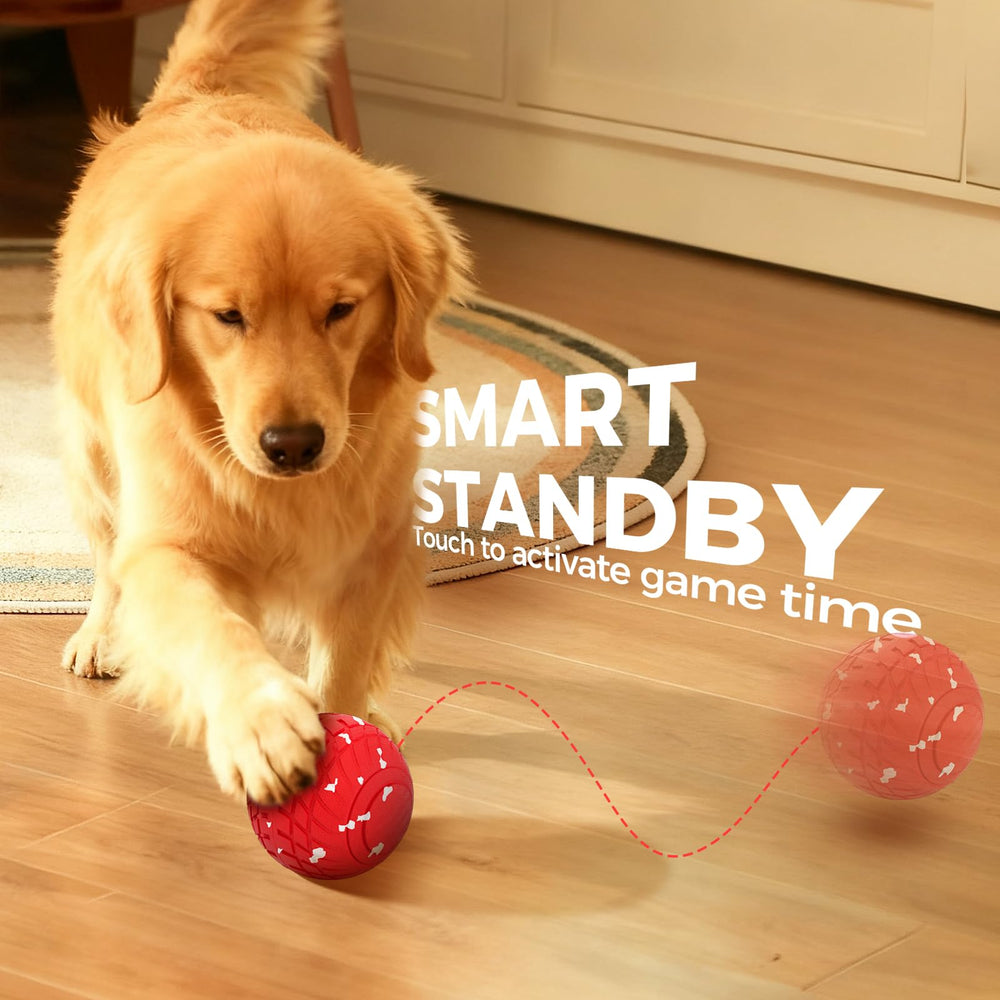 Diman Juguete Perro Tamaño 8 cm: tamaño perfecto para razas activas
