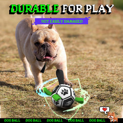 Diman Pelota de fútbol para perros, diseñada en poliuretano resistente para juego vigoroso.