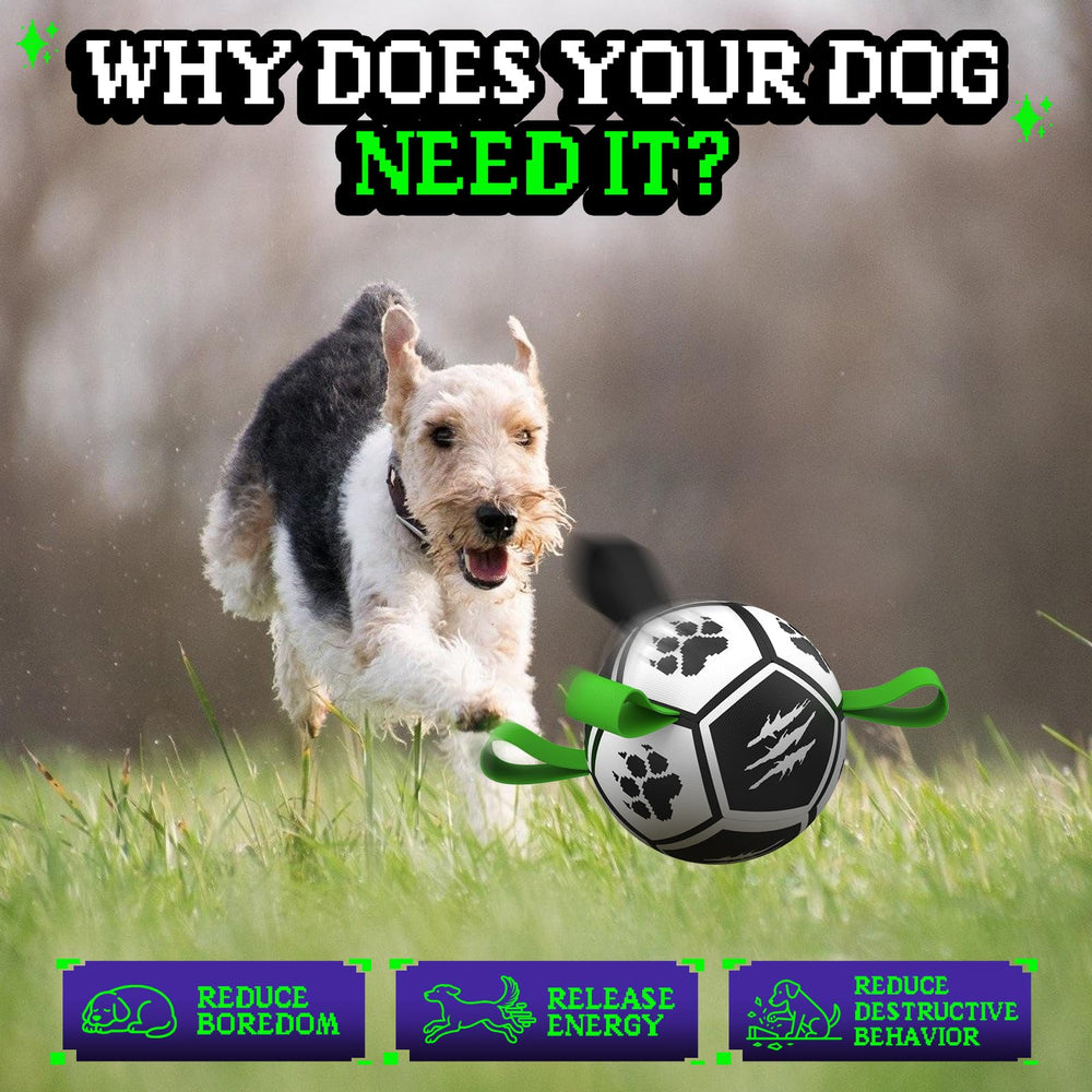 Diman Pelota de fútbol para perros con correas en acción, perfecto para juego al aire libre.