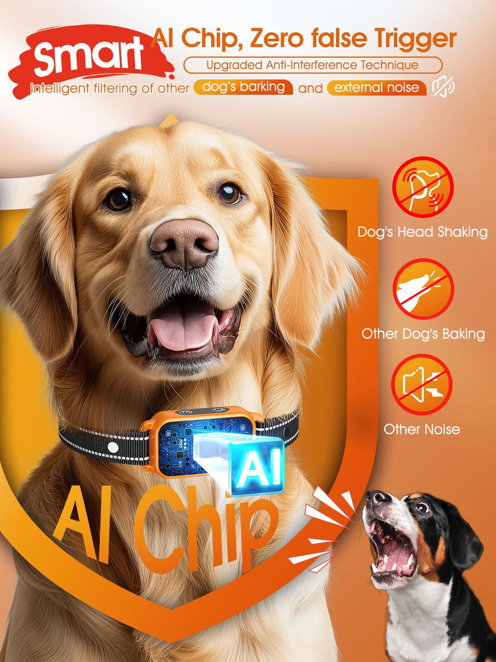 DINJOO collar IP67 para perros, apto para lluvia y juego al aire libre.