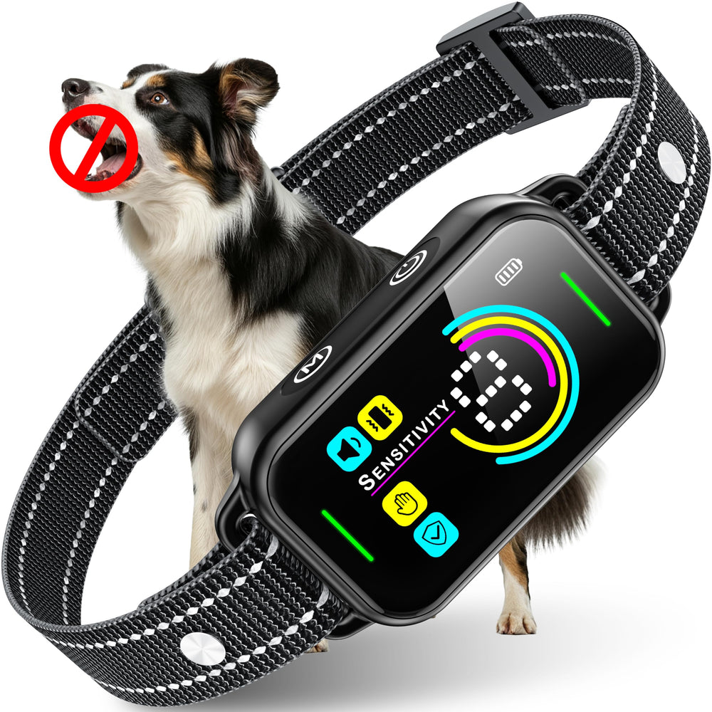 DINJOO collar anti ladridos – vista frontal, control seguro para perros de tamaño completo.
