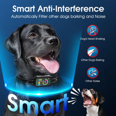 DinJoo collar sensores precisos para evitar falsas alertas