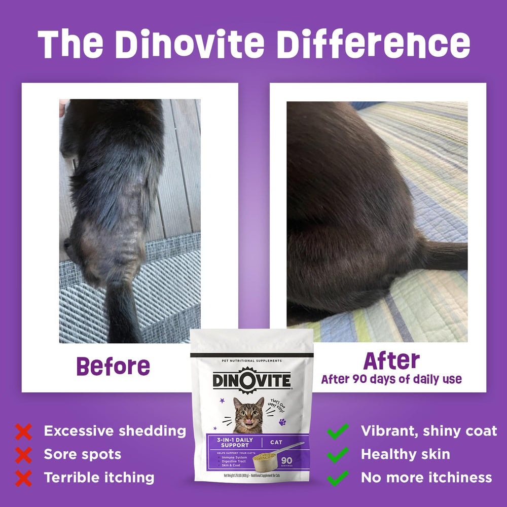 Dinovite para gatos, polvo en tazón, mezcla para la comida diaria.