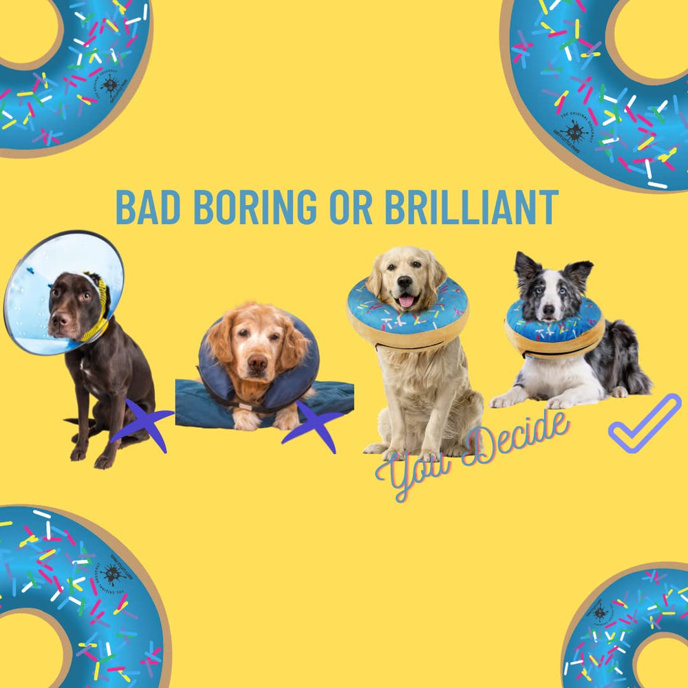 Dona ajustable DIRTY LITTLE PAWS azul, compatible con diferentes cuellos.